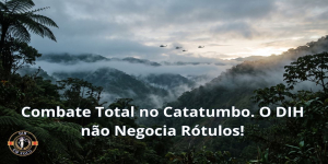 Combate na Colômbia. Conflito Não Internacional?
